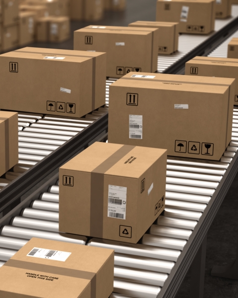 Marcaje y codificación Anser en cajas de cartón