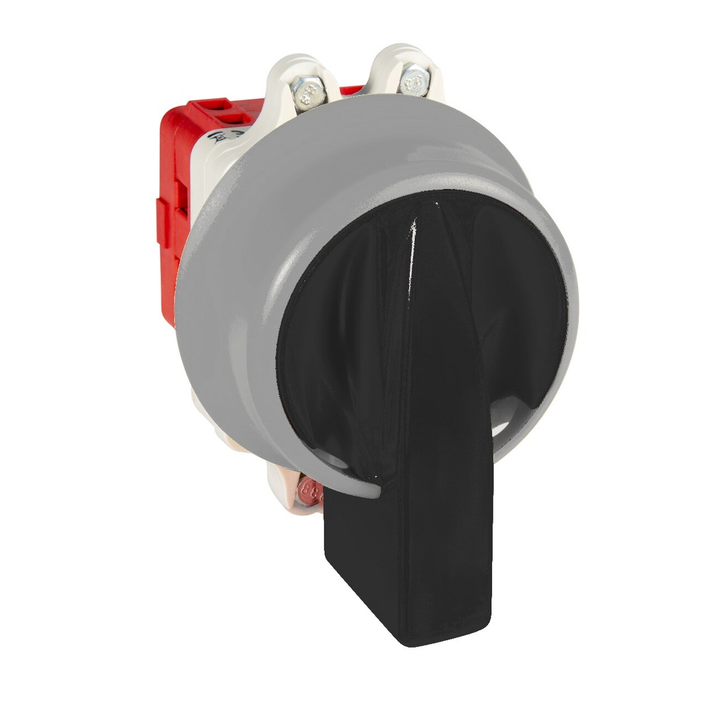 INTERRUPTOR 2P 40A.D1 MANDO BLOQUEO CANDADO IP69K NEGRO/GRIS