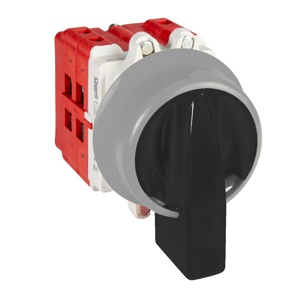 INTERRUPTOR 2P 63A.D2 MANDO BLOQUEO CANDADO IP69K NEGRO/GRIS